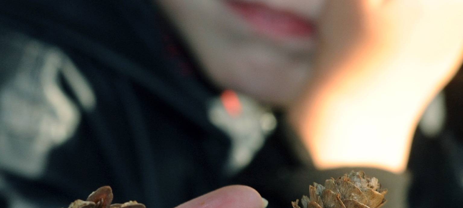 Zechen-Safari in Witten