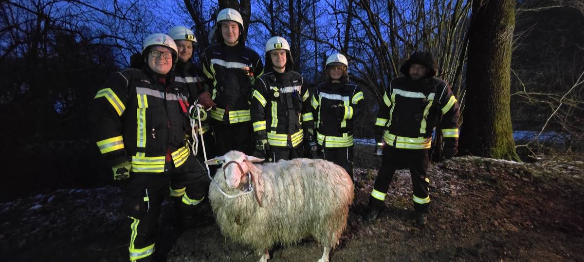 Feuerwehr rettet Schaf in Breckerfeld