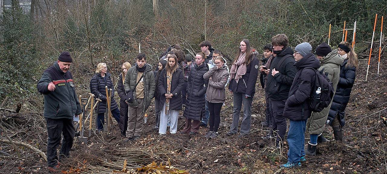 Jugendliche pflanzen 550 Bäume