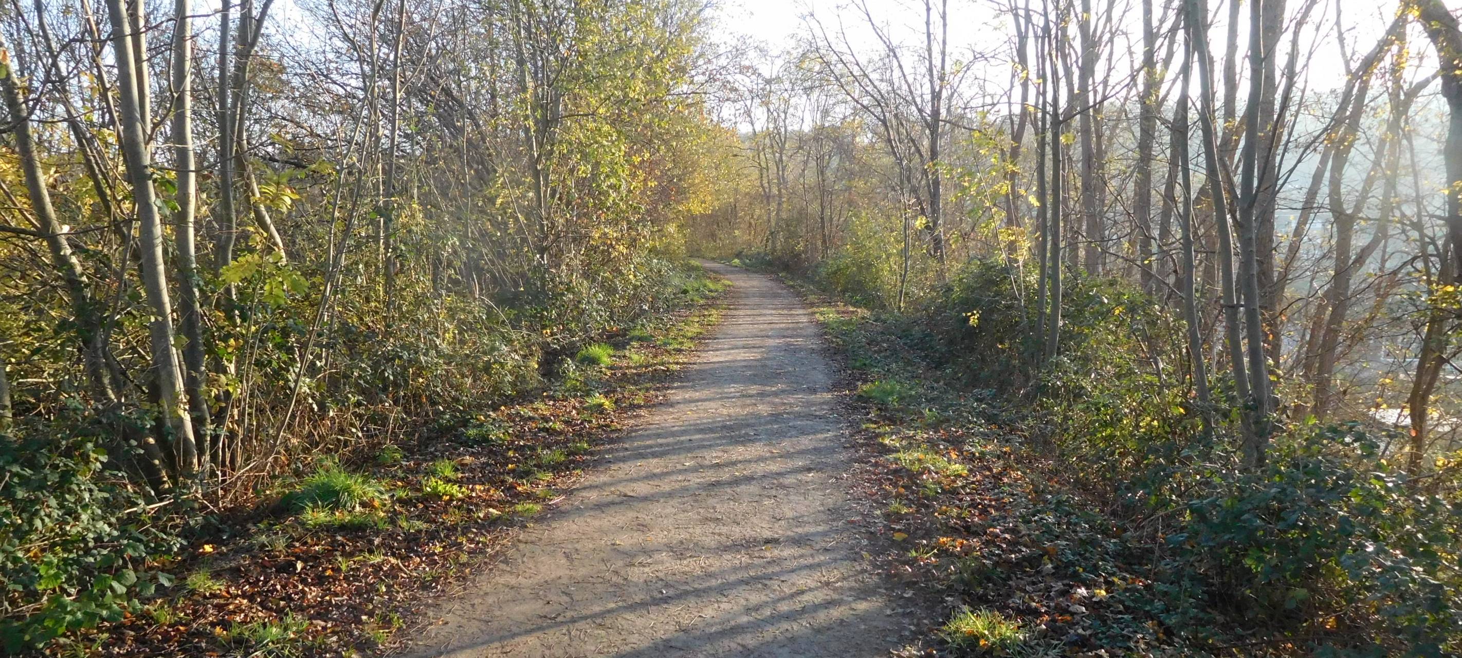 Glückauf-Trasse bekommt neuen Belag