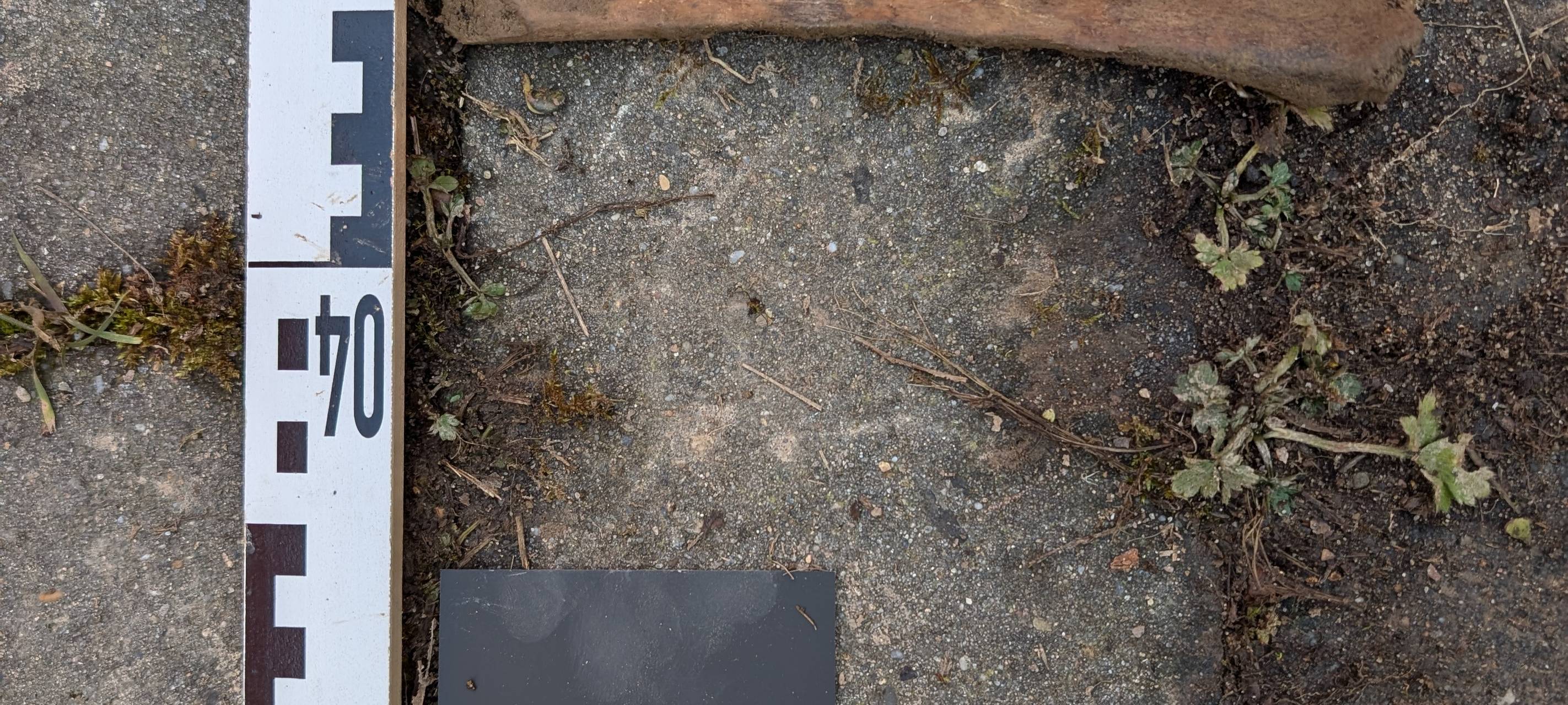 Weitere Knochenreste in Ennepetal aufgetaucht