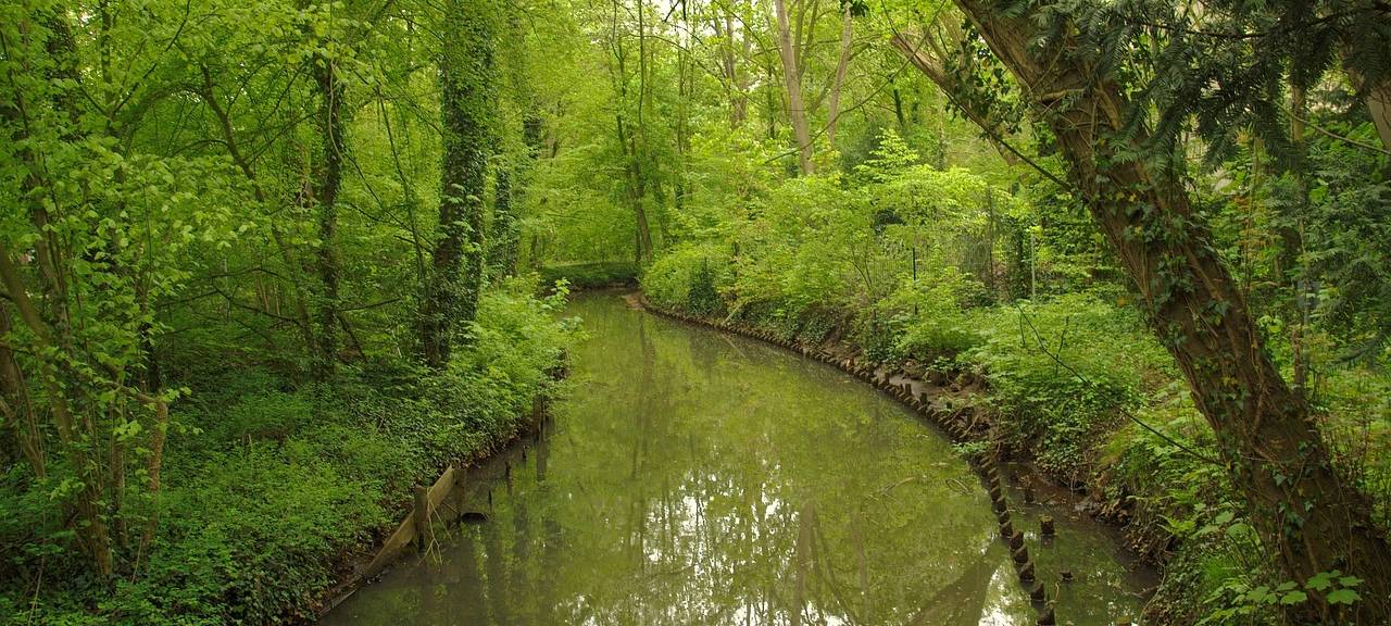 Sprockhövel forstet auf