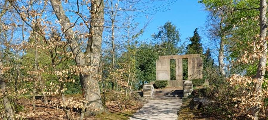 Zugewuchertes Gelände in Witten ist jetzt Geschichte