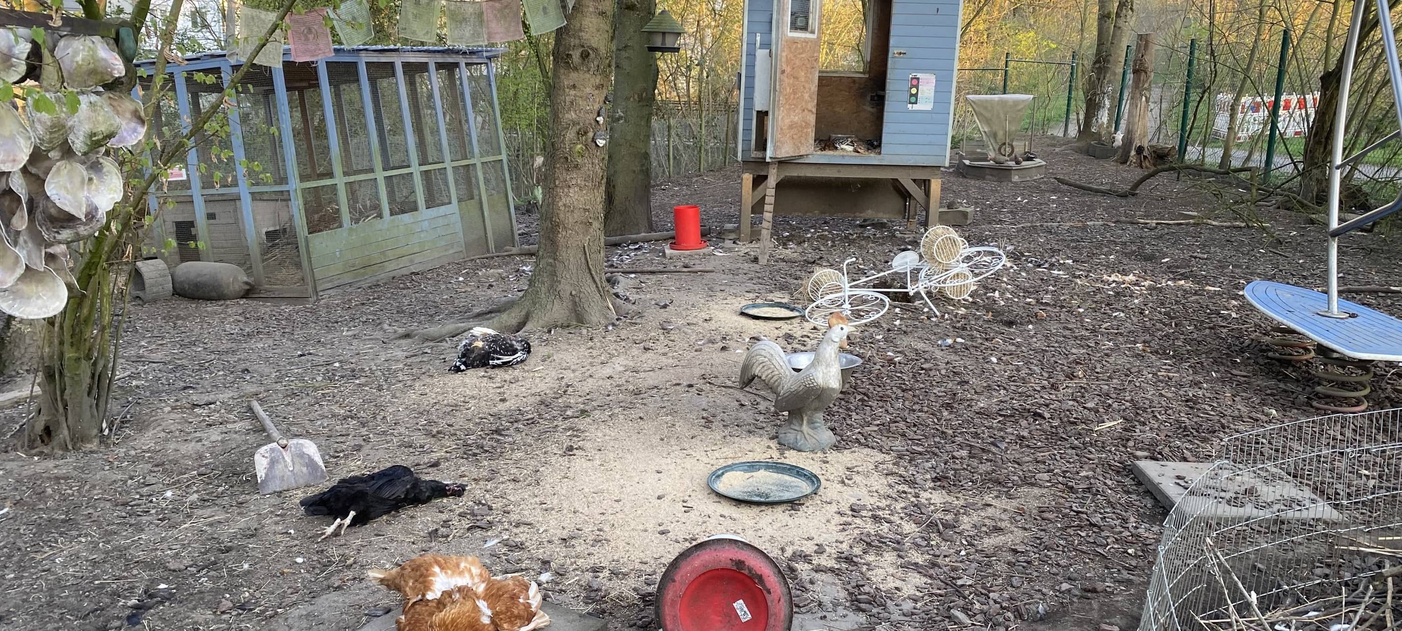 "Massker" im Streichelzoo: Zwölf Tiere mit roher Gewalt ermordet