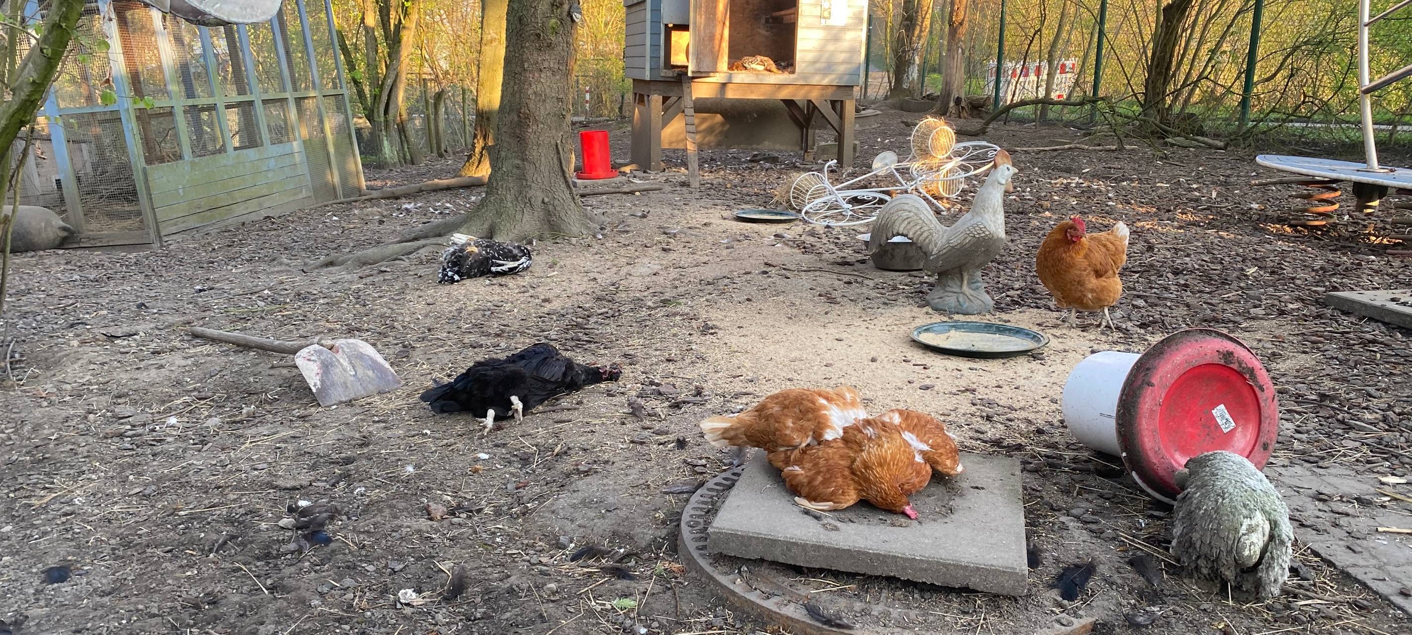 Tier-Morde in Sprockhövel bleiben unaufgeklärt