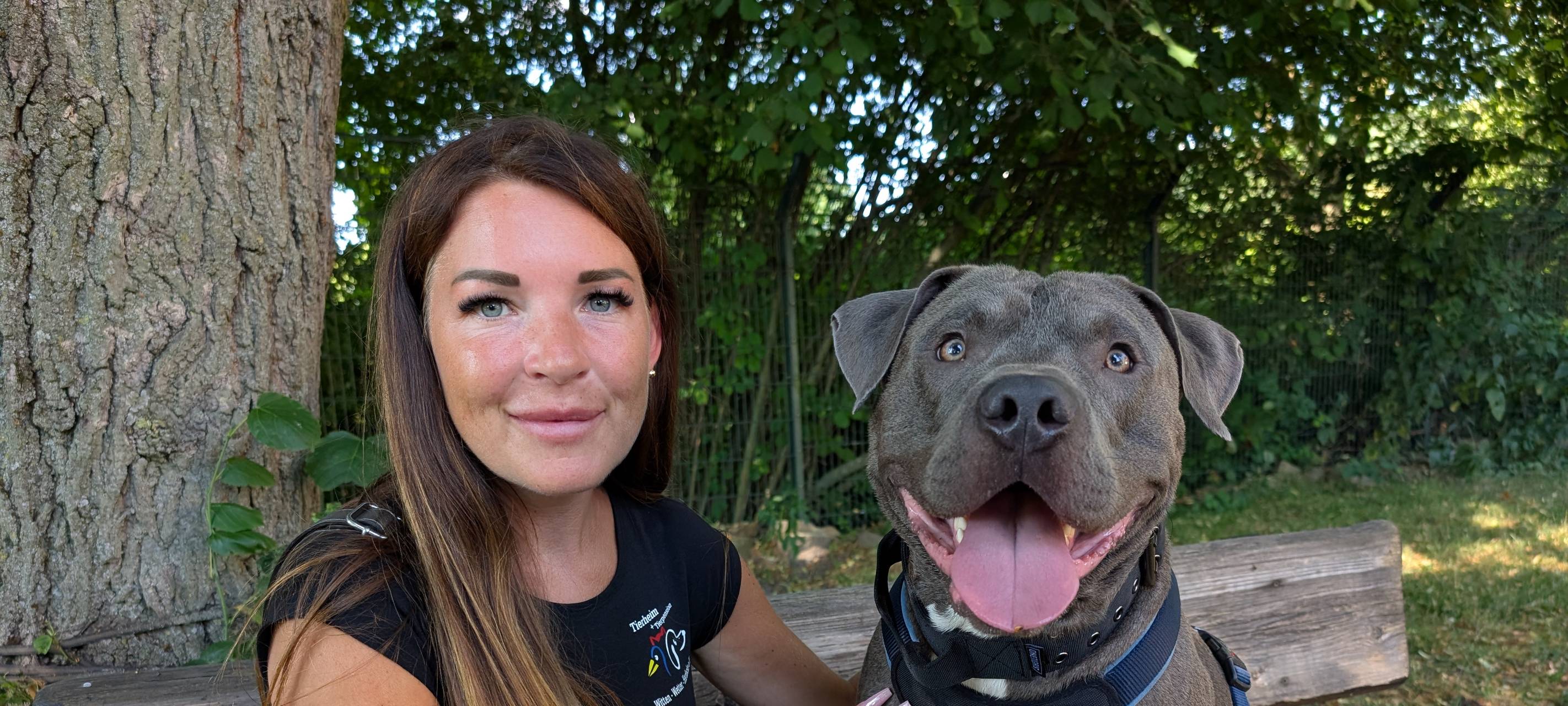 Entführter Hund Thyson (Witten): Jetzt spricht die Polizei