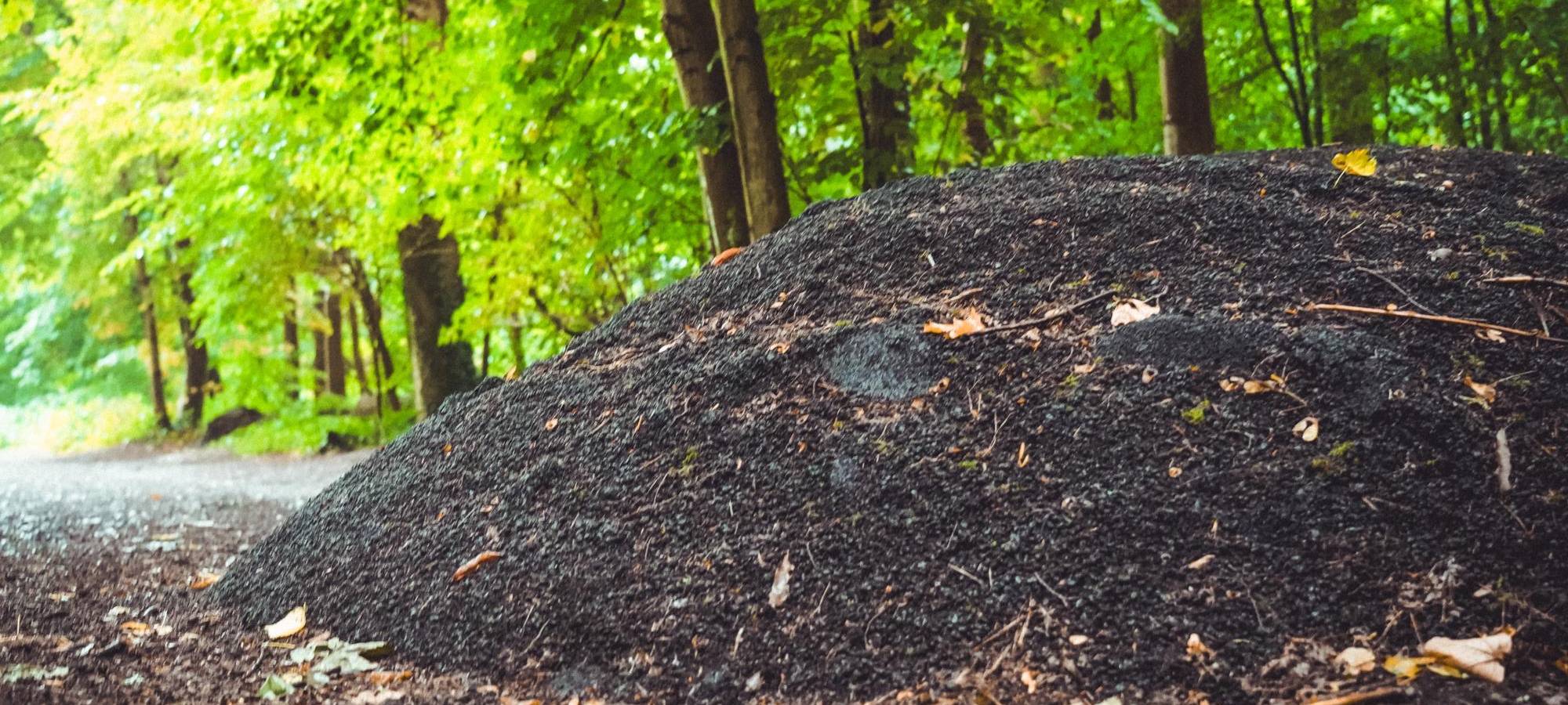 15 Tonnen Asphalt liegen im Wald