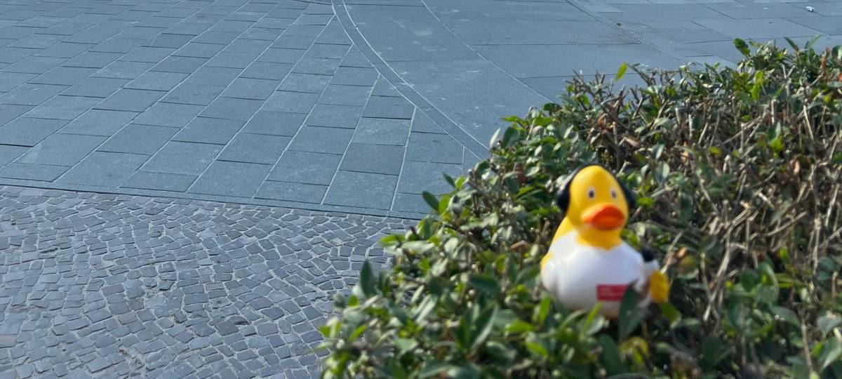 Die schönsten Fotos von der Urlaubs-Ente