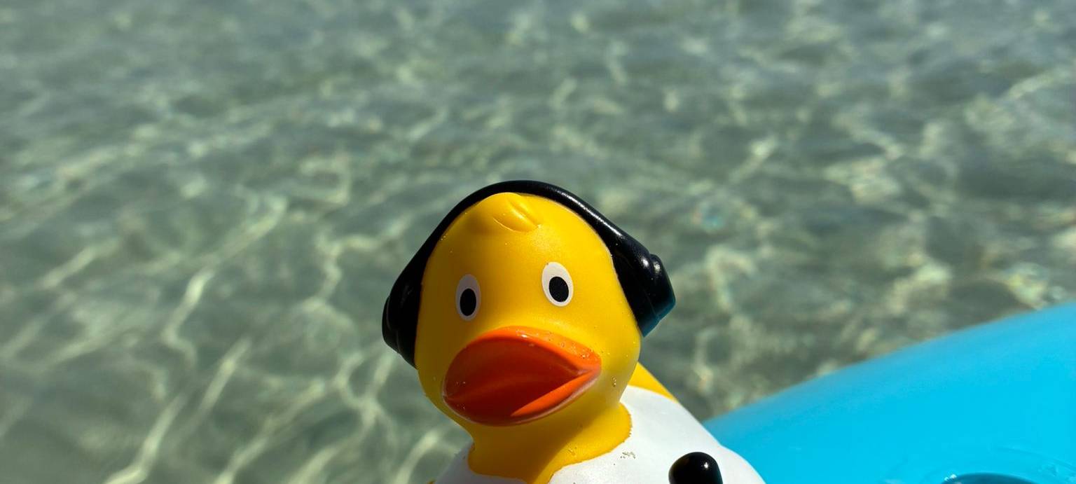 Die schönsten Fotos von der Urlaubs-Ente