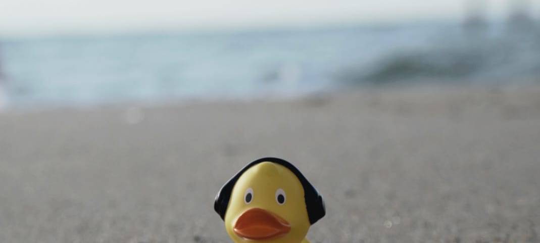 Die schönsten Fotos von der Urlaubs-Ente