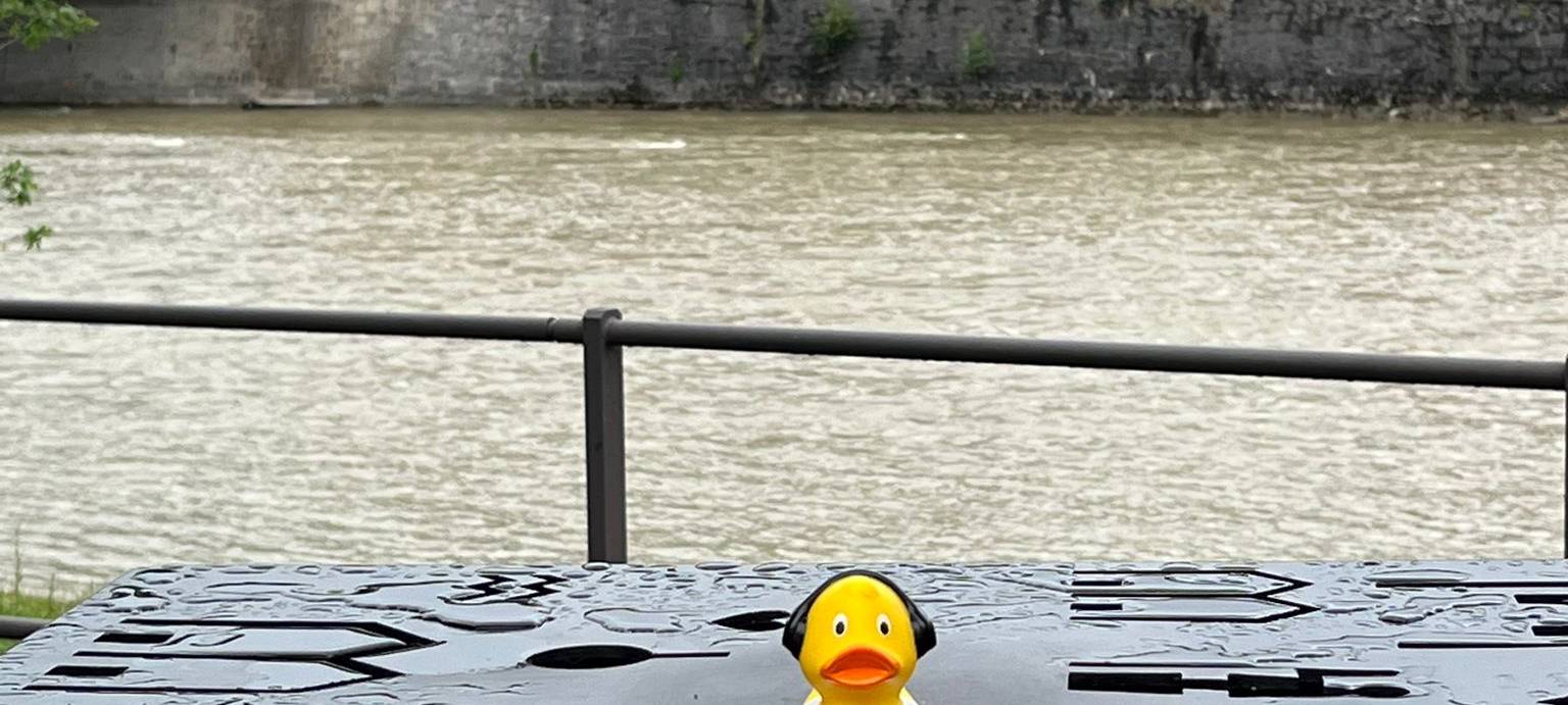 Die schönsten Fotos von der Urlaubs-Ente