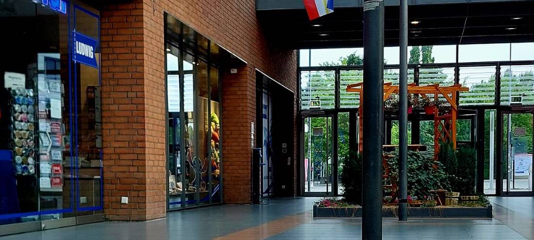 Die schönsten Fotos von der Urlaubs-Ente