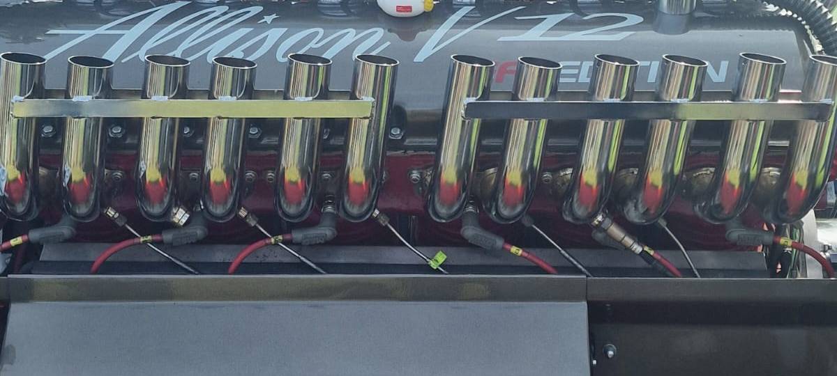 Die schönsten Fotos von der Urlaubs-Ente