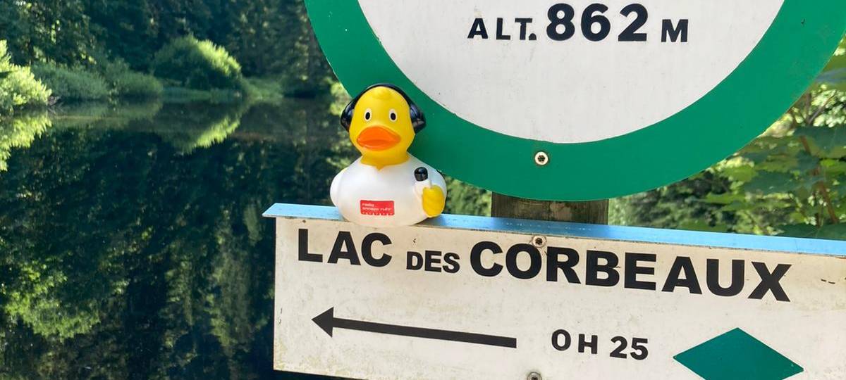 Die schönsten Fotos von der Urlaubs-Ente