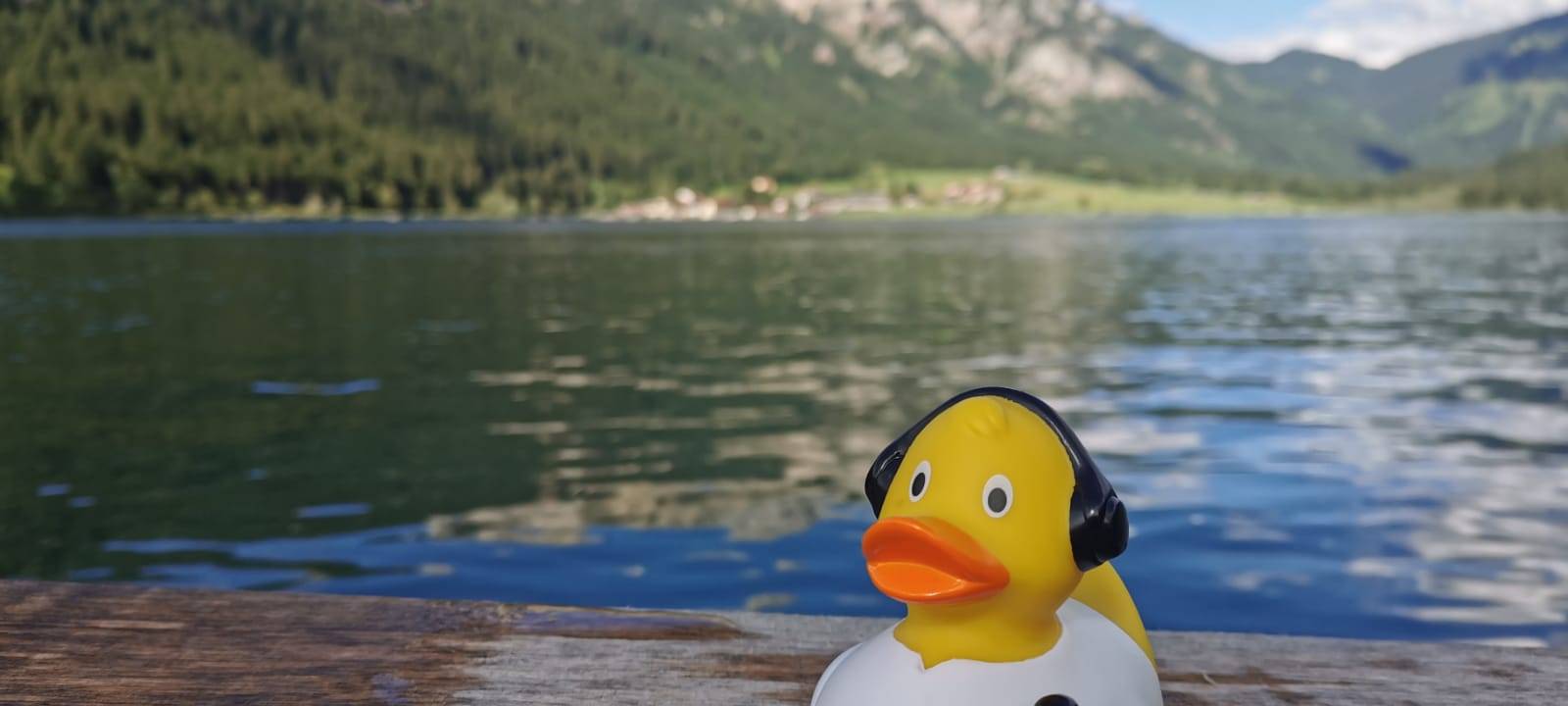 Die schönsten Fotos von der Urlaubs-Ente