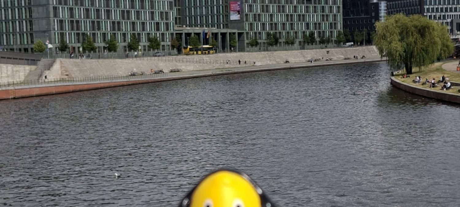 Die schönsten Fotos von der Urlaubs-Ente