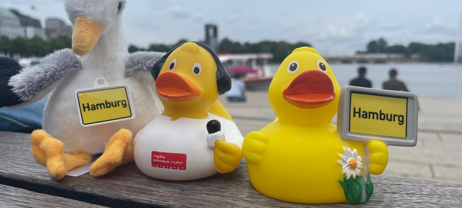 Die schönsten Fotos von der Urlaubs-Ente