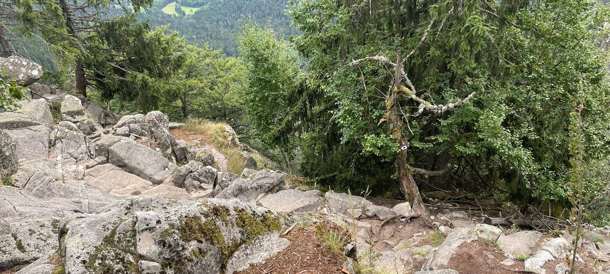 Die schönsten Fotos von der Urlaubs-Ente