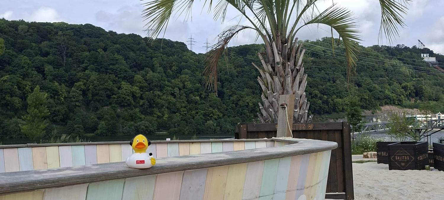 Die schönsten Fotos von der Urlaubs-Ente