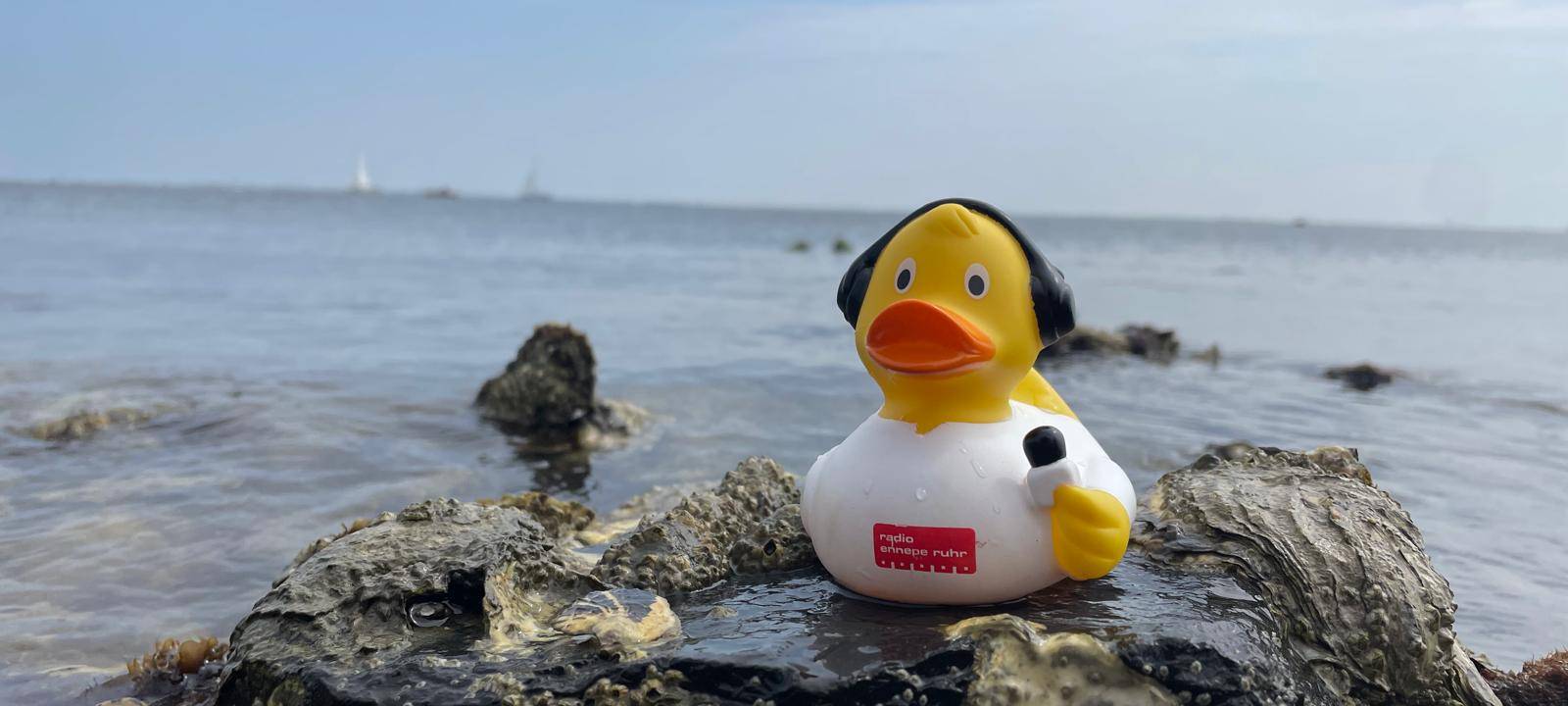 Die schönsten Fotos von der Urlaubs-Ente