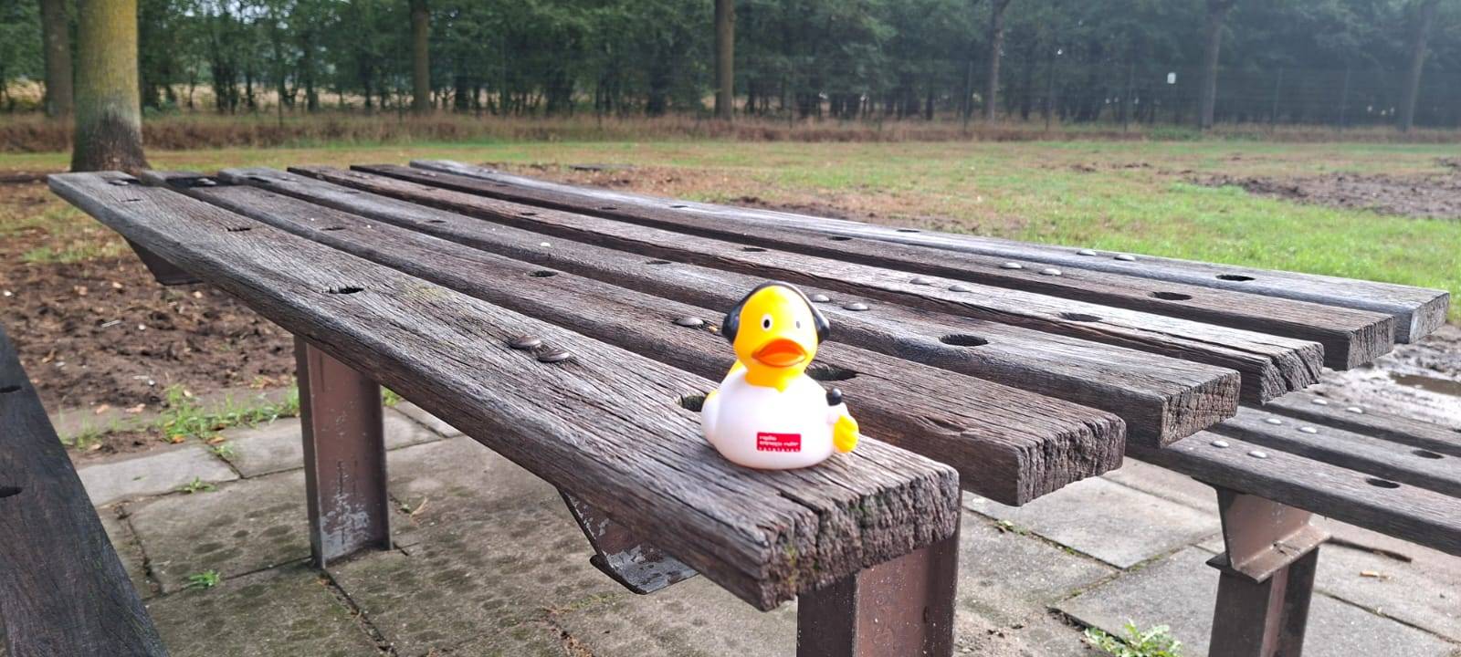 Die schönsten Fotos von der Urlaubs-Ente