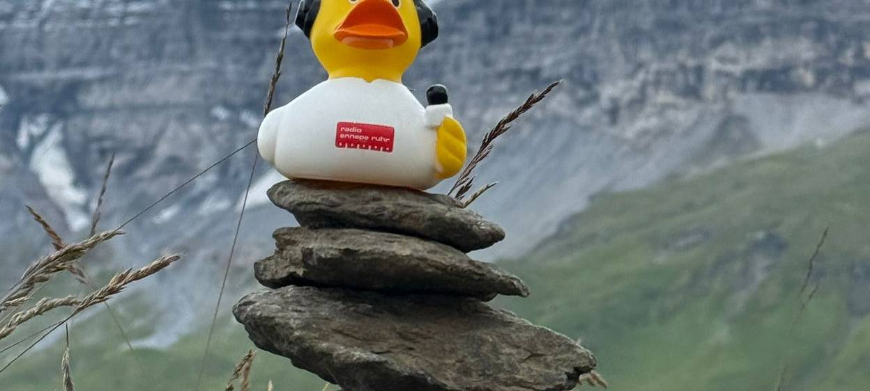 Die schönsten Fotos von der Urlaubs-Ente