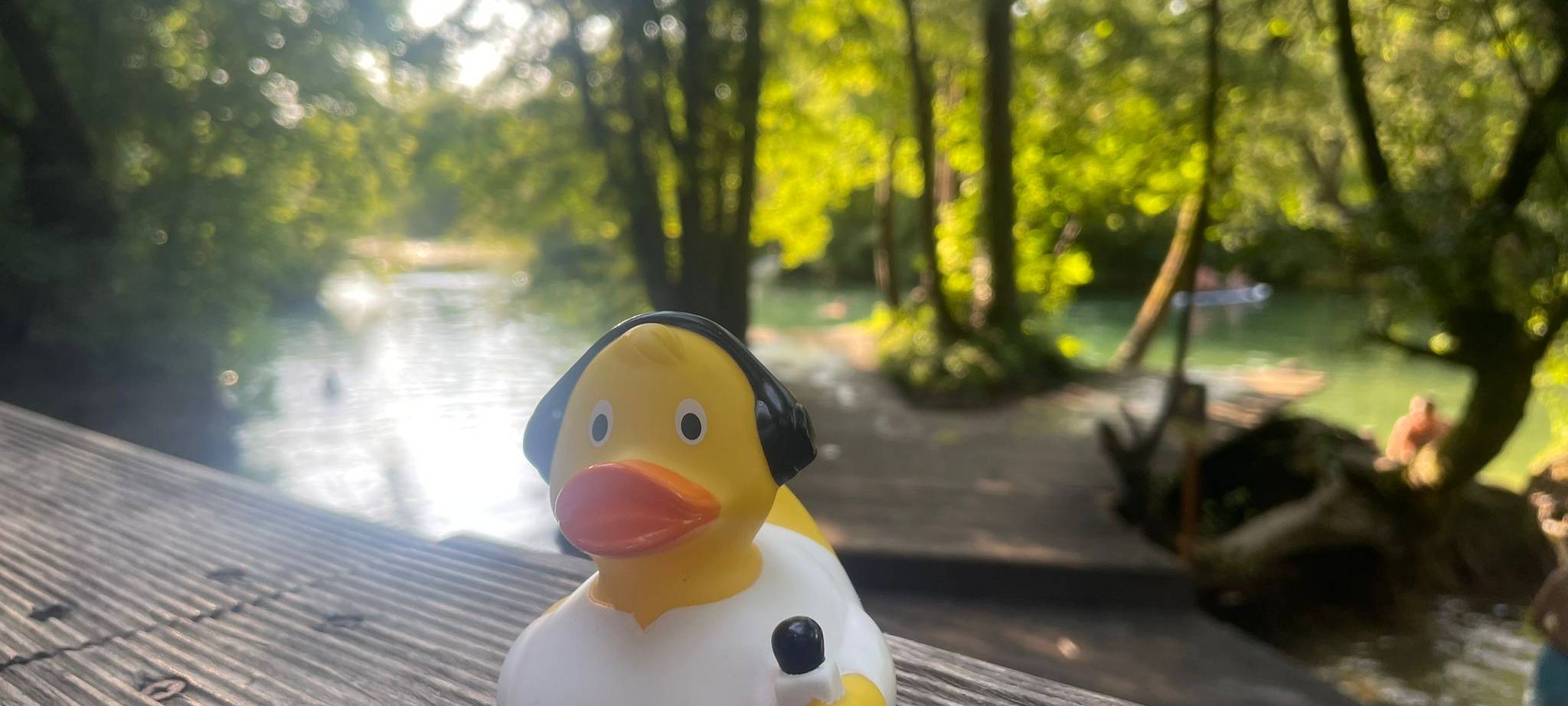 Die schönsten Fotos von der Urlaubs-Ente