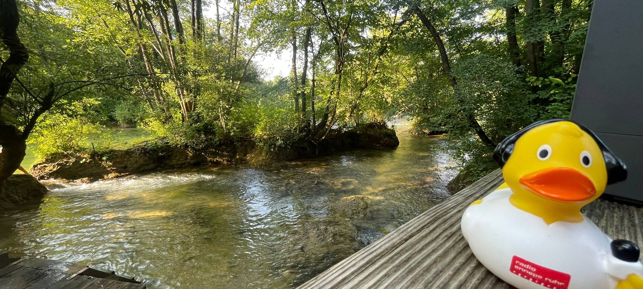 Die schönsten Fotos von der Urlaubs-Ente