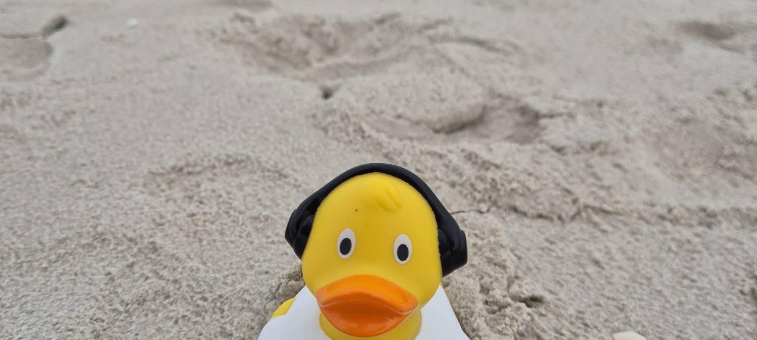 Die schönsten Fotos von der Urlaubs-Ente