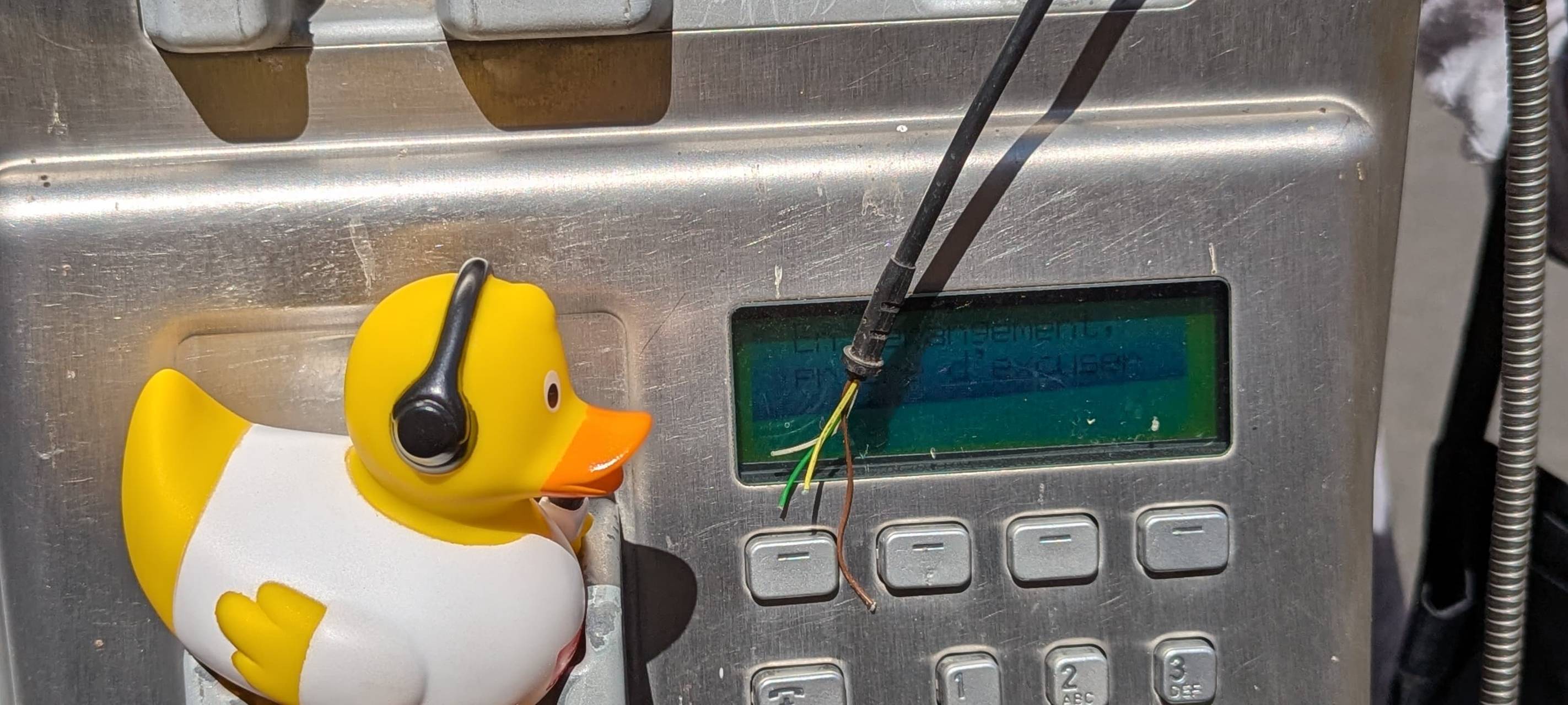 Die schönsten Fotos von der Urlaubs-Ente