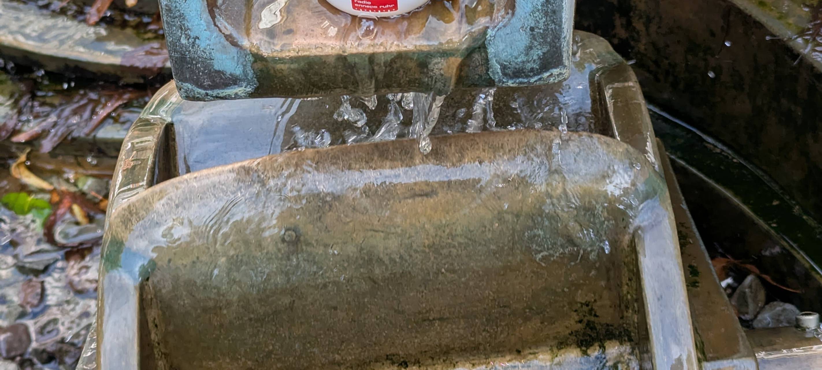 Die schönsten Fotos von der Urlaubs-Ente