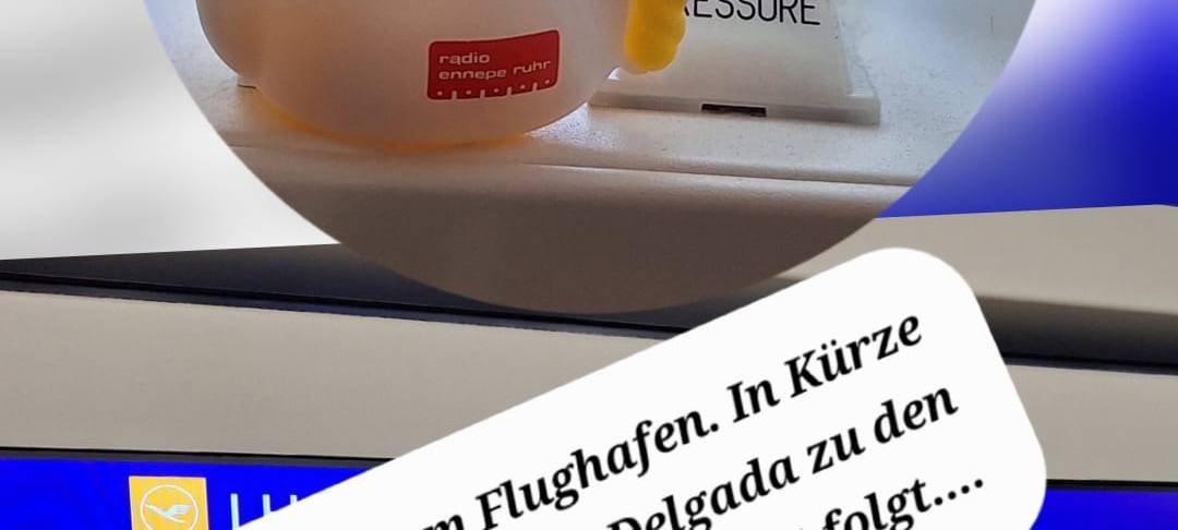 Die schönsten Fotos von der Urlaubs-Ente