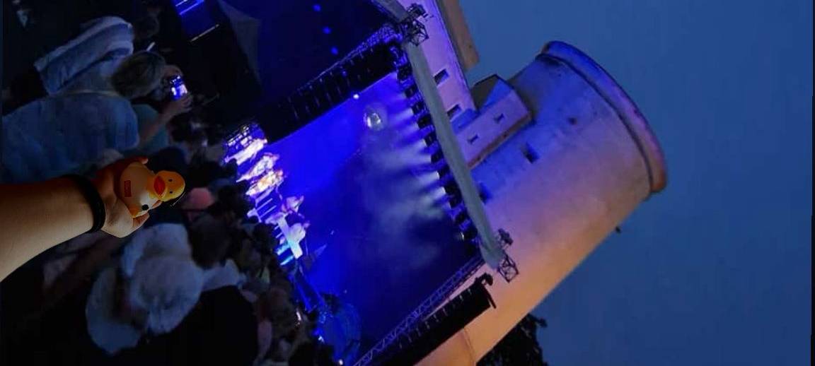 Die schönsten Fotos von der Urlaubs-Ente