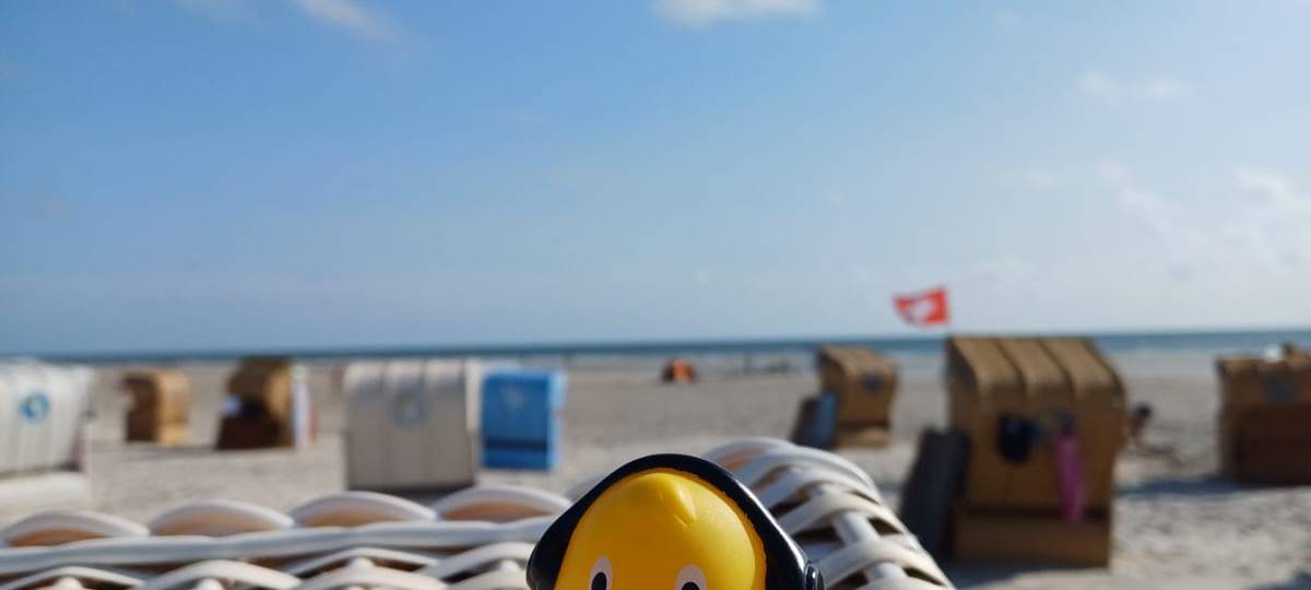 Die schönsten Fotos von der Urlaubs-Ente