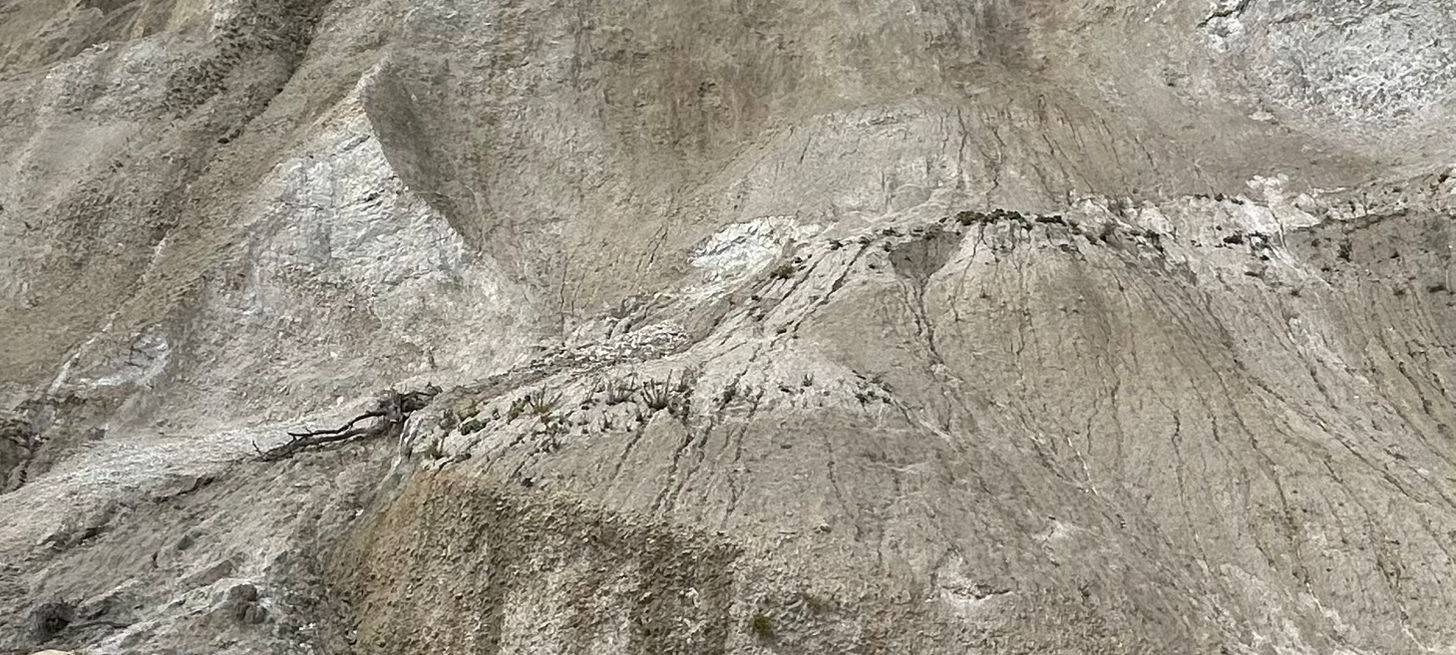 Die schönsten Fotos von der Urlaubs-Ente