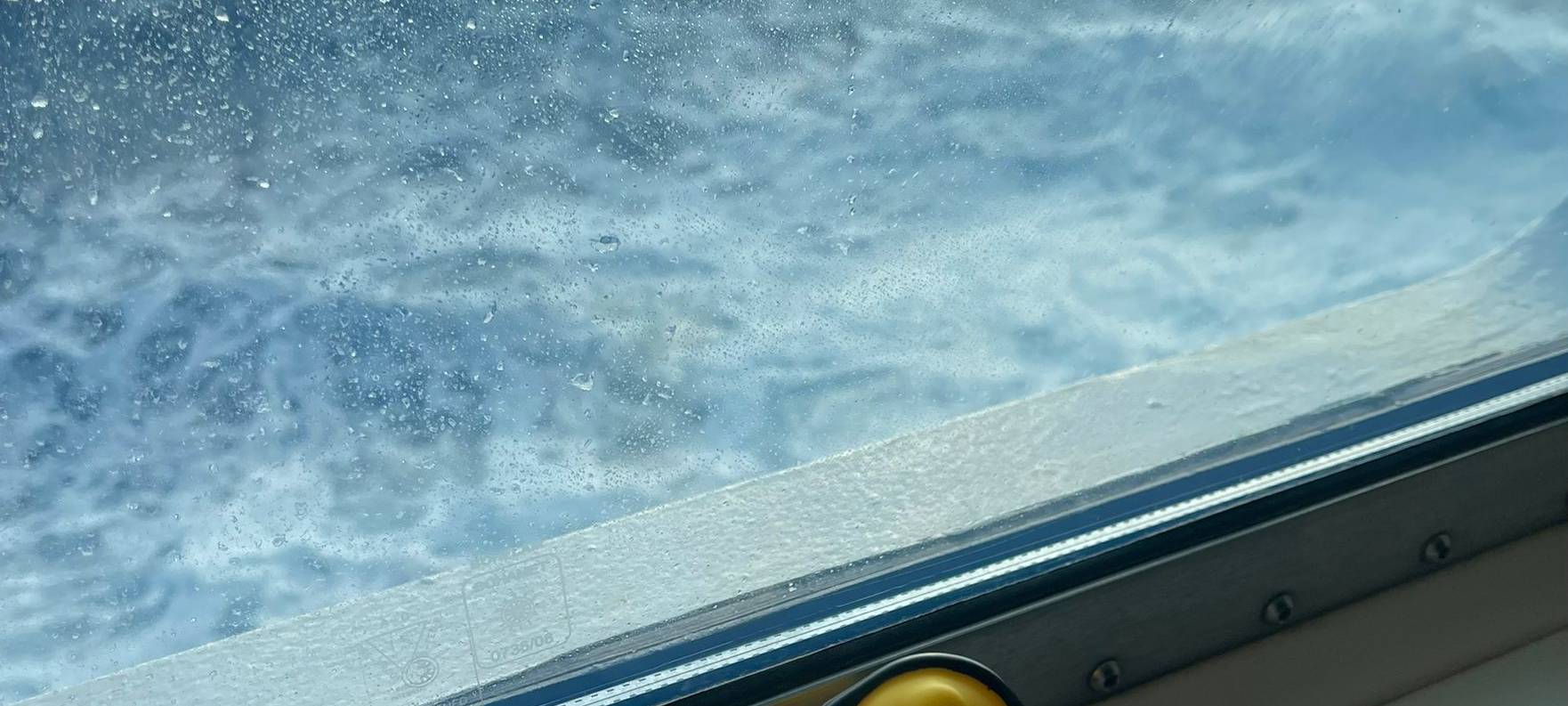 Die schönsten Fotos von der Urlaubs-Ente