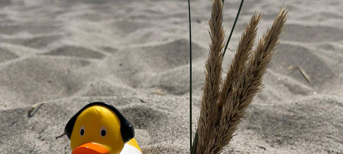 Die schönsten Fotos von der Urlaubs-Ente