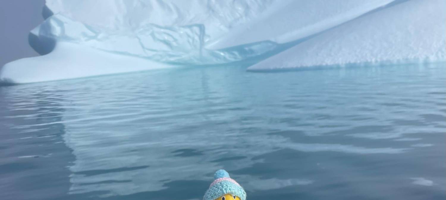 Die schönsten Fotos von der Urlaubs-Ente