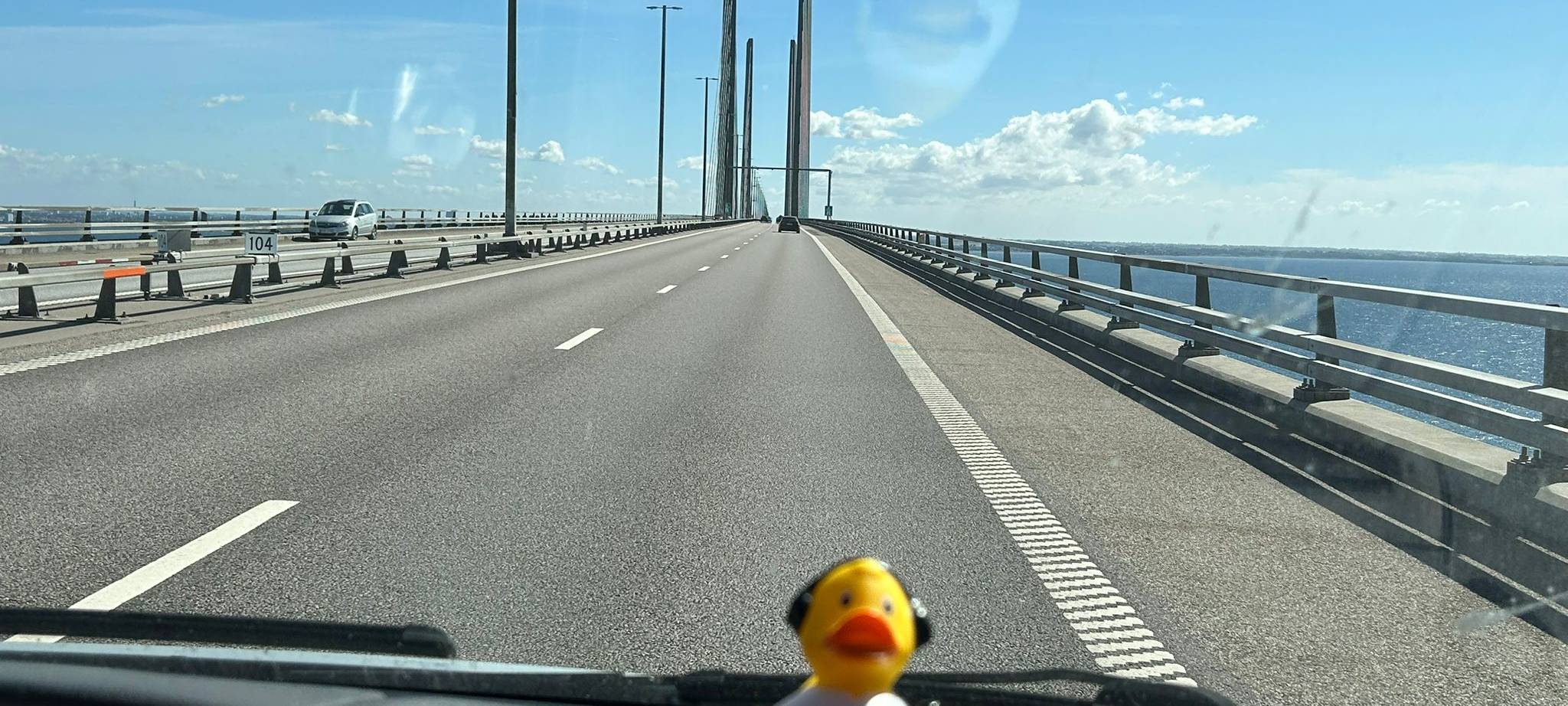 Die schönsten Fotos von der Urlaubs-Ente