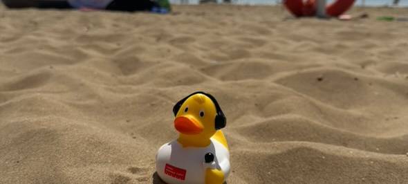 Die schönsten Fotos von der Urlaubs-Ente