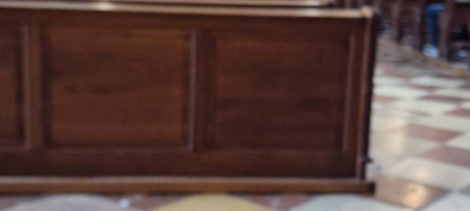 Die schönsten Fotos von der Urlaubs-Ente