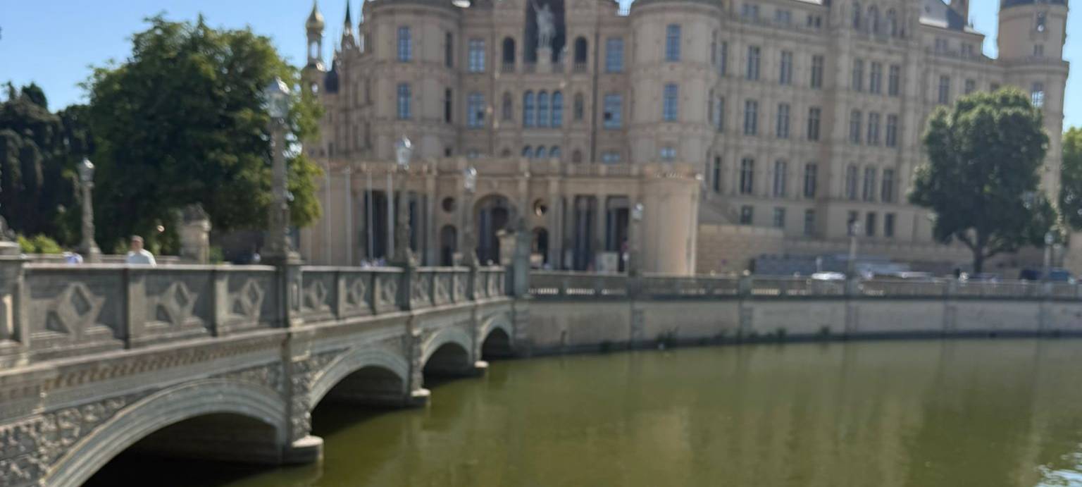 Die schönsten Fotos von der Urlaubs-Ente