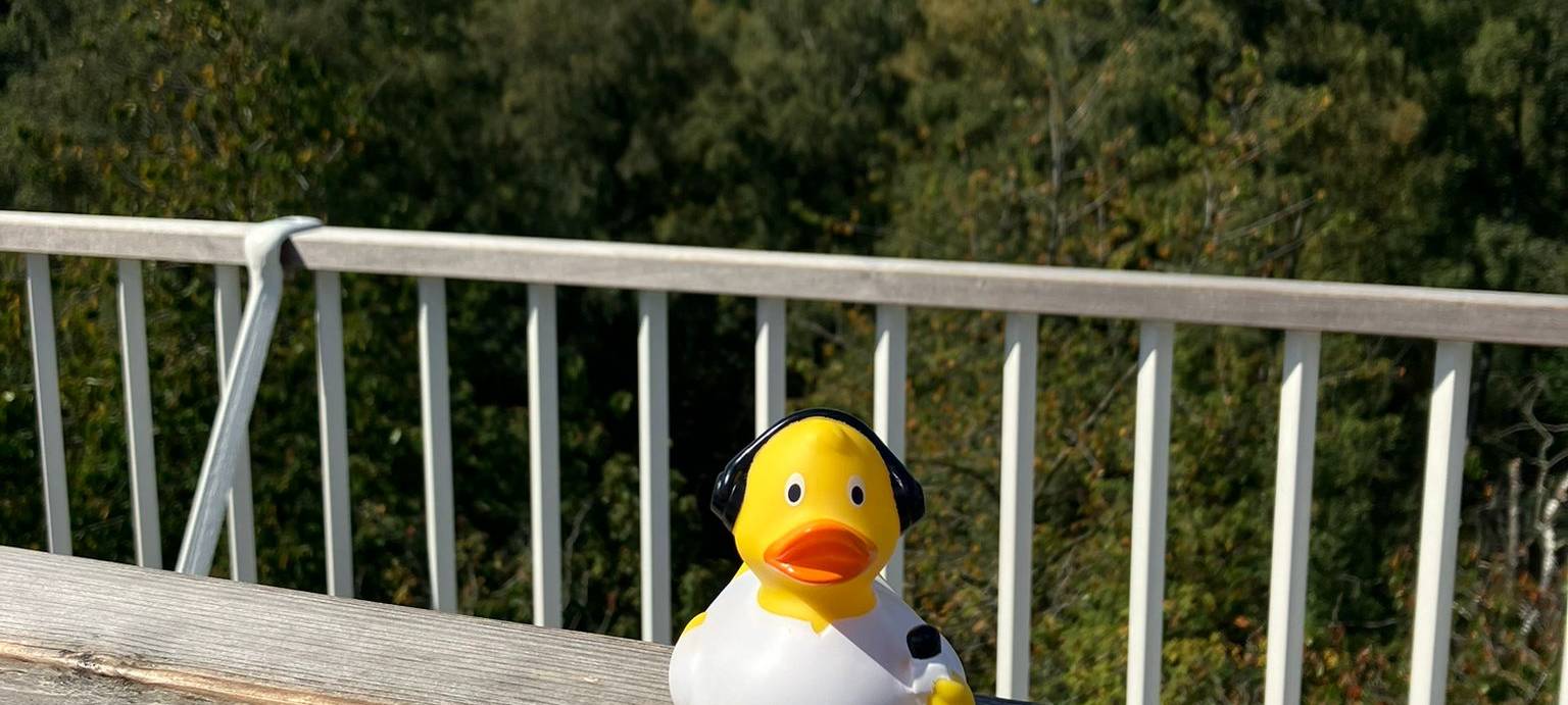 Die schönsten Fotos von der Urlaubs-Ente