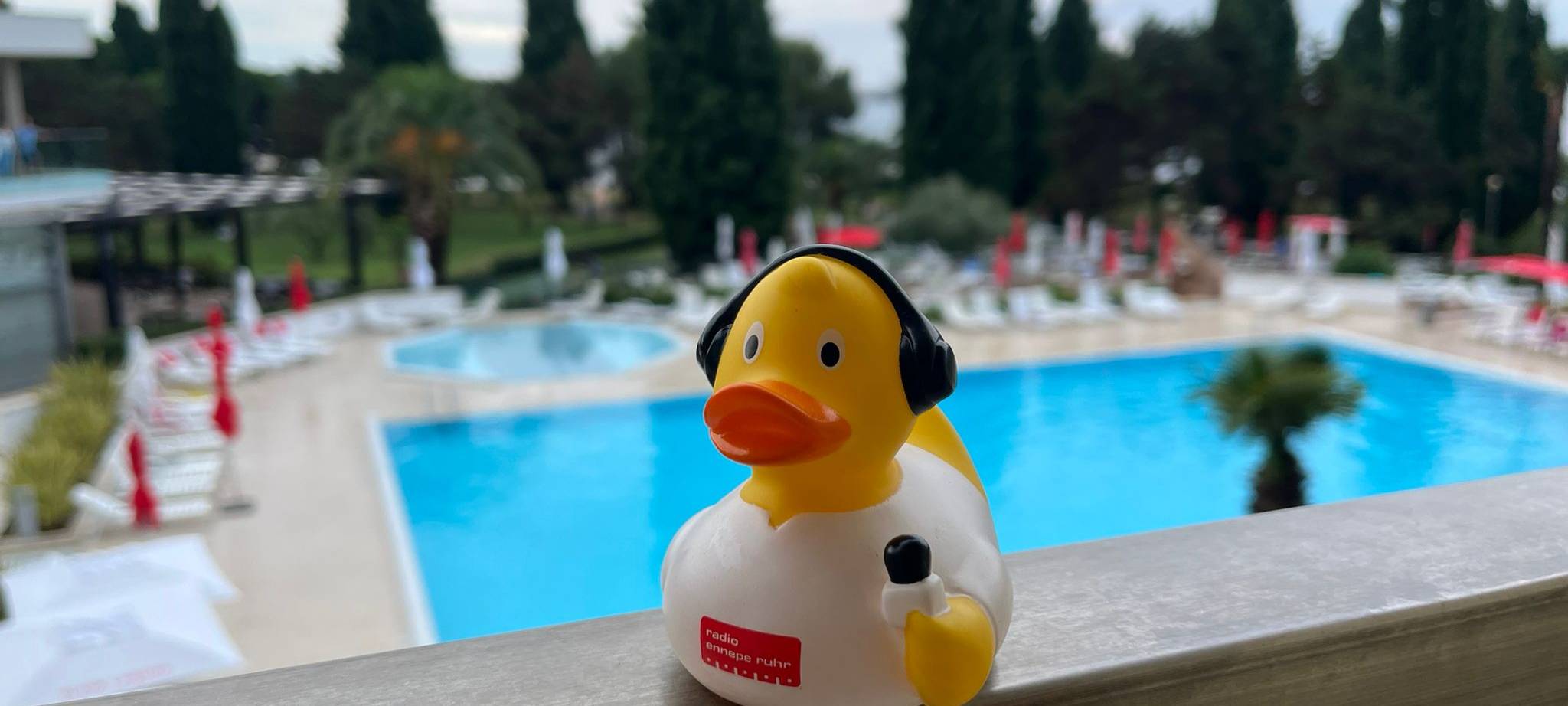 Die schönsten Fotos von der Urlaubs-Ente