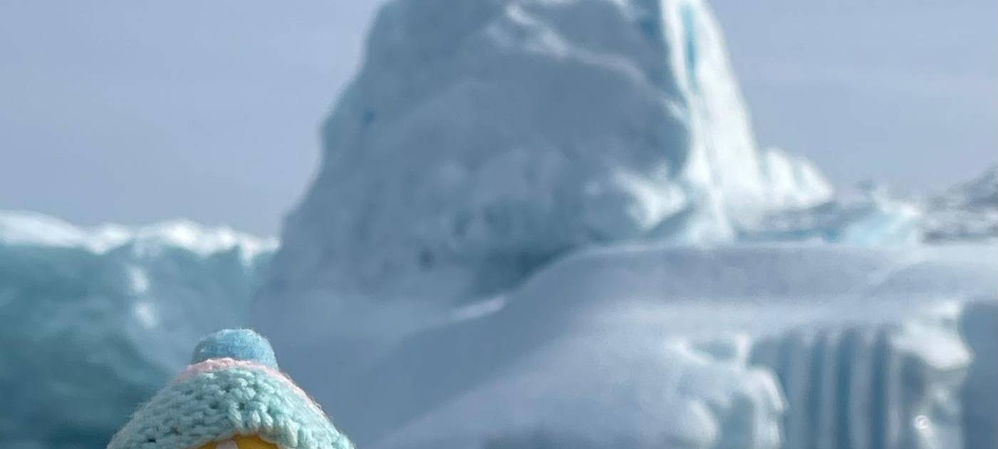 Die schönsten Fotos von der Urlaubs-Ente