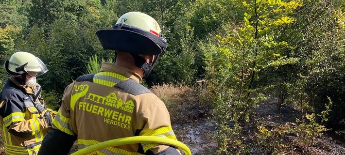 Feuerwehr löscht Waldbrand bei Gut Schede