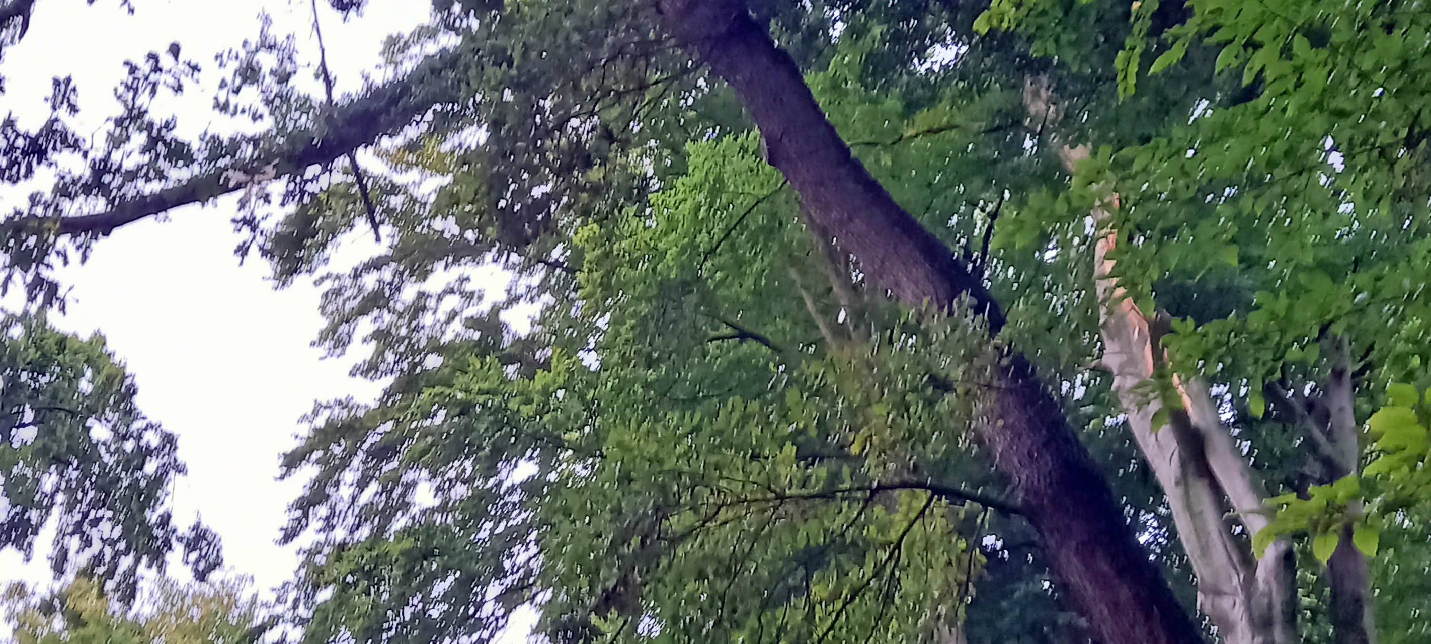 Herdecke: Seeweg gesperrt