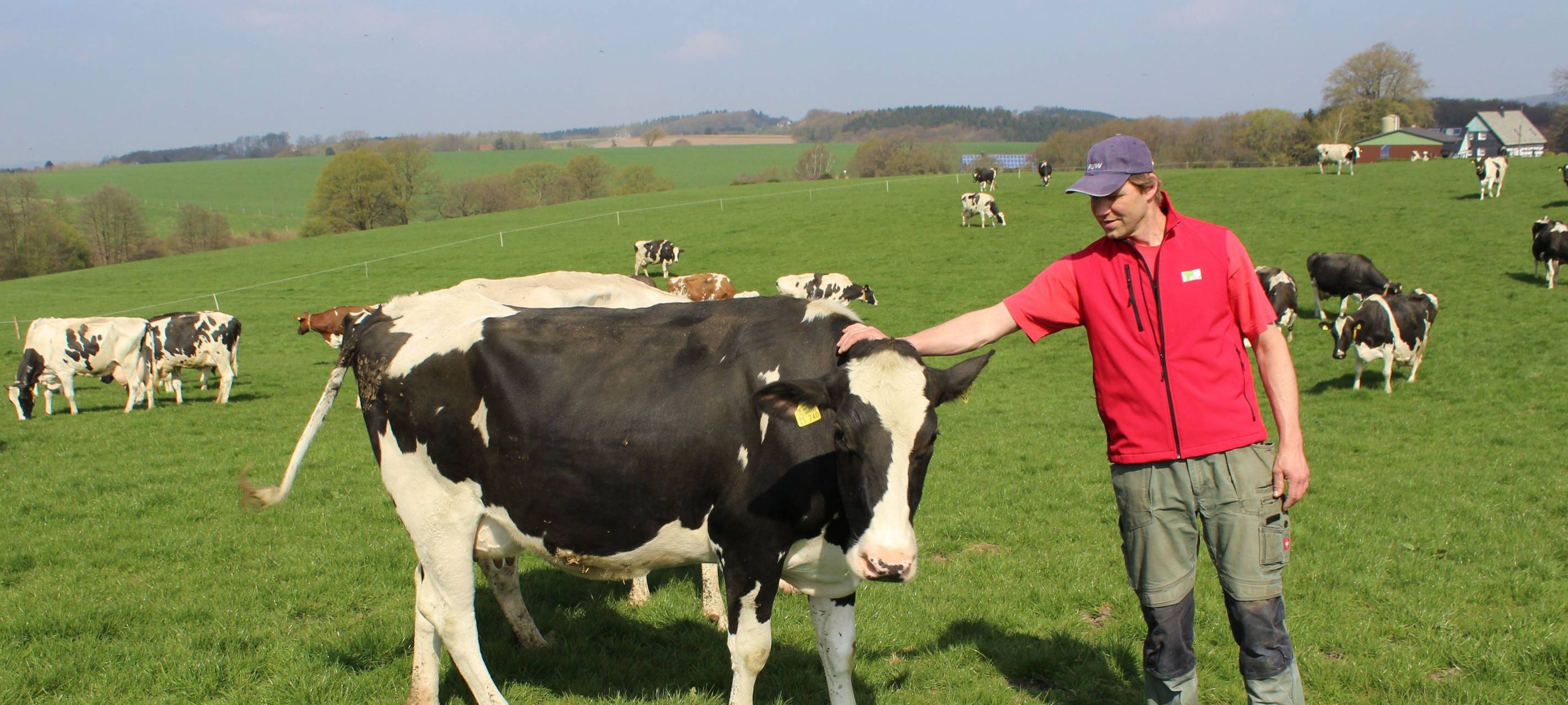 Butter-Preisschlacht bereitet Landwirtschaft Sorgen