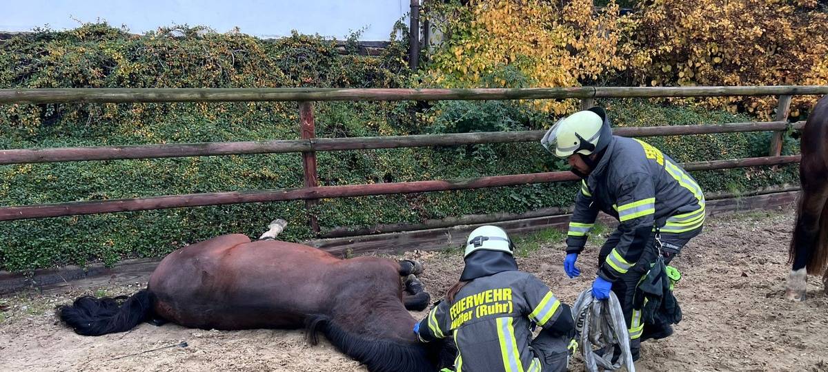 Wetter: Person unter Pferd eingeklemmt