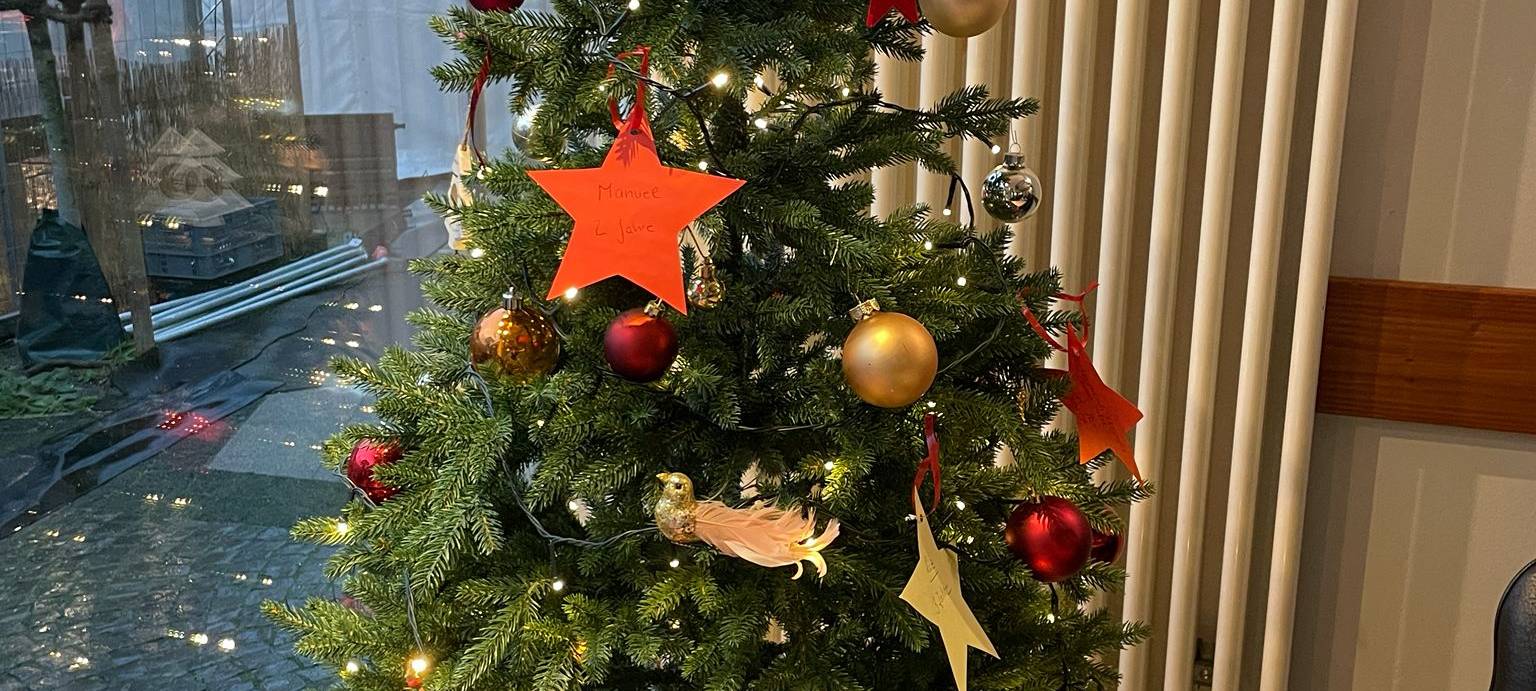 Wunschbäume in unseren Städten